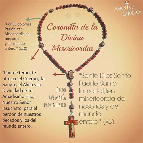 coronilla de la divina misericordia|la coronilla divina misericordia hoy.